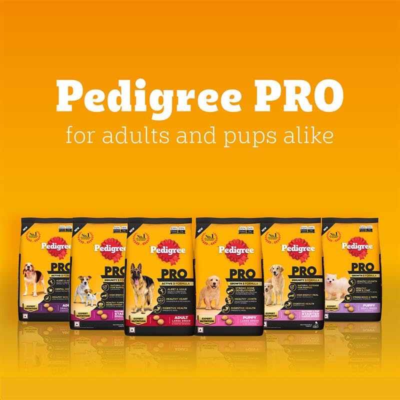 Pedigree Pro Active Adult Large Breed