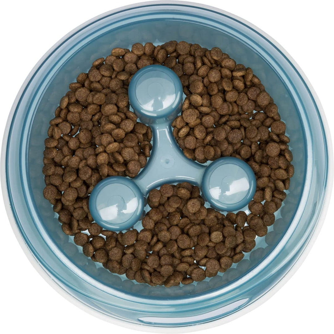 Anti-Skid Slow Feeder Dog Bowl
