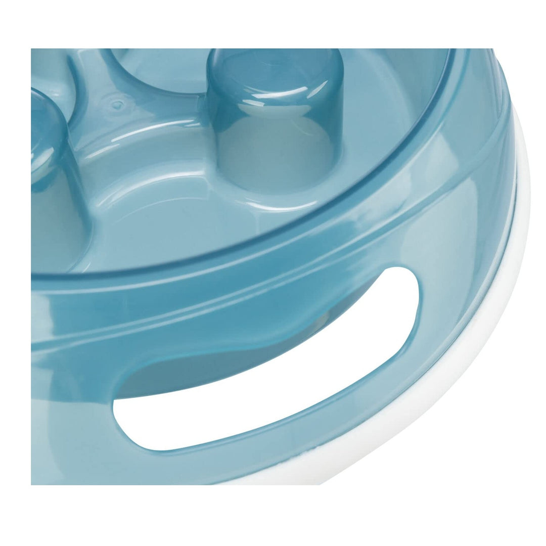 Anti-Skid Slow Feeder Dog Bowl