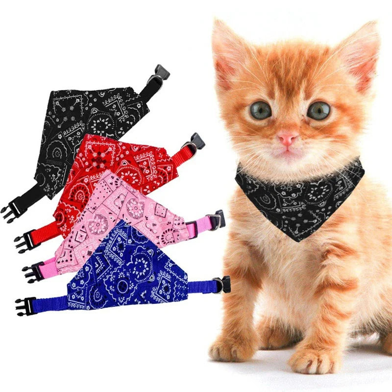 Classic Paisley Adjustable Collar Bandana