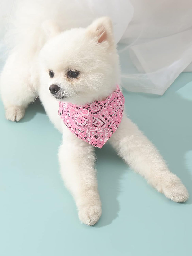 Classic Paisley Adjustable Collar Bandana