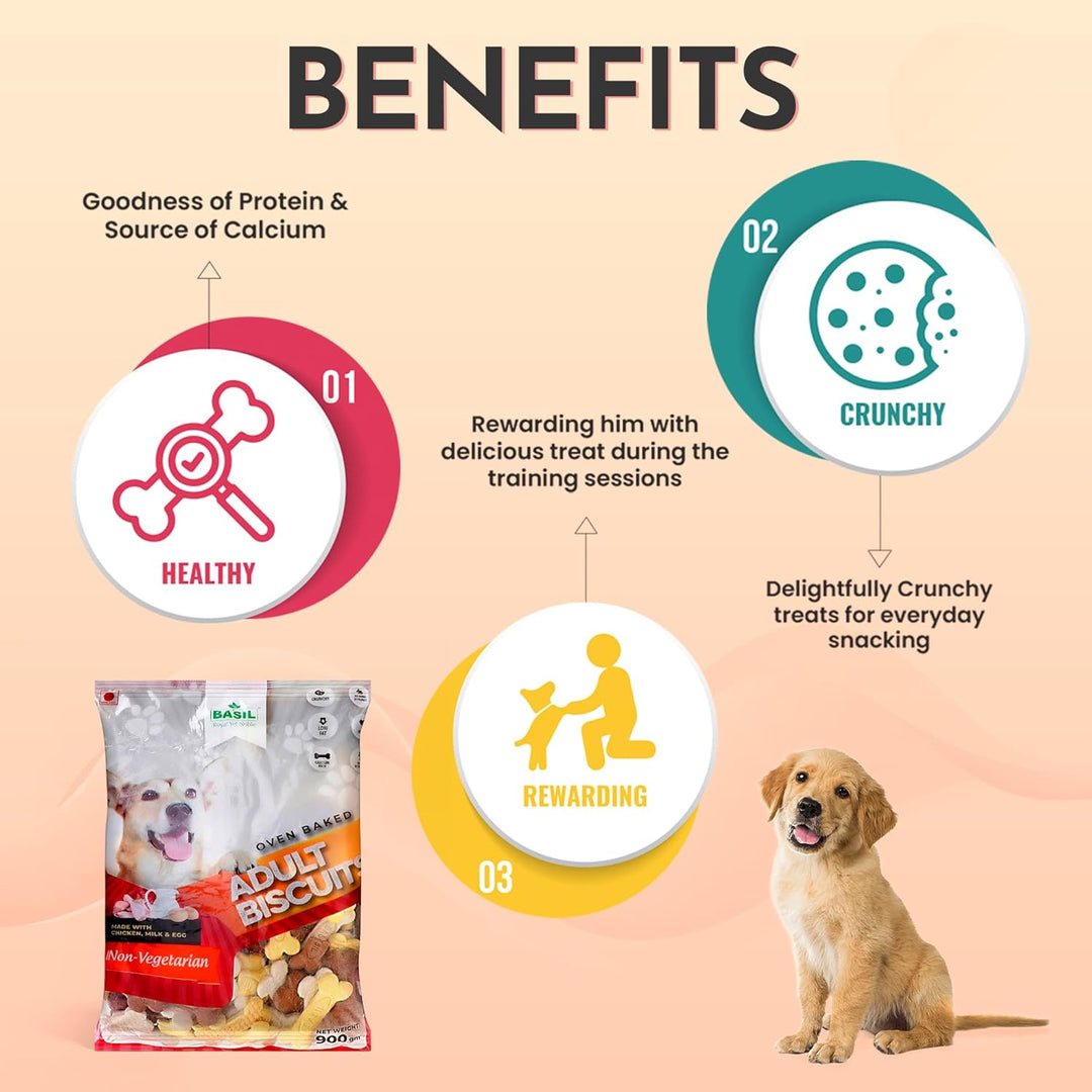 Basil Dog Biscuit Chicken, Egg & Milk – Healthy Crunchy Treats for Adult Dogs (900gm)