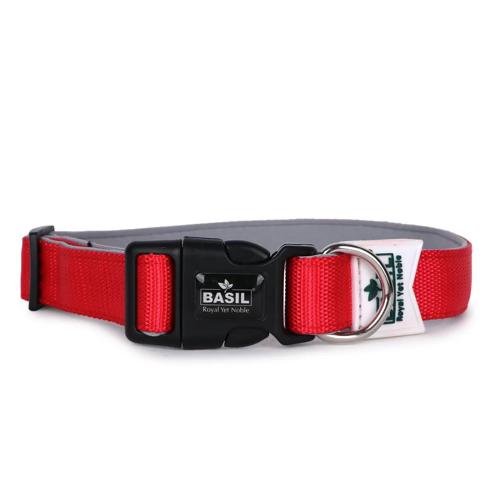 Basil Solid Color Padded Collar for Dogs - Comfortable, Durable & Stylish