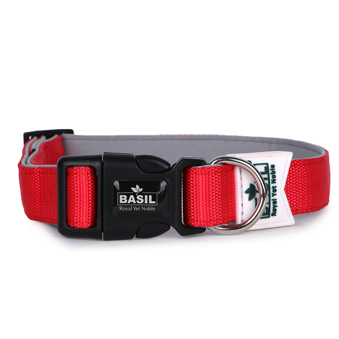 Basil Solid Color Padded Collar for Dogs - Comfortable, Durable & Stylish
