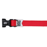 Load image into Gallery viewer, Basil Solid Color Padded Collar for Dogs - Comfortable, Durable &amp; Stylish