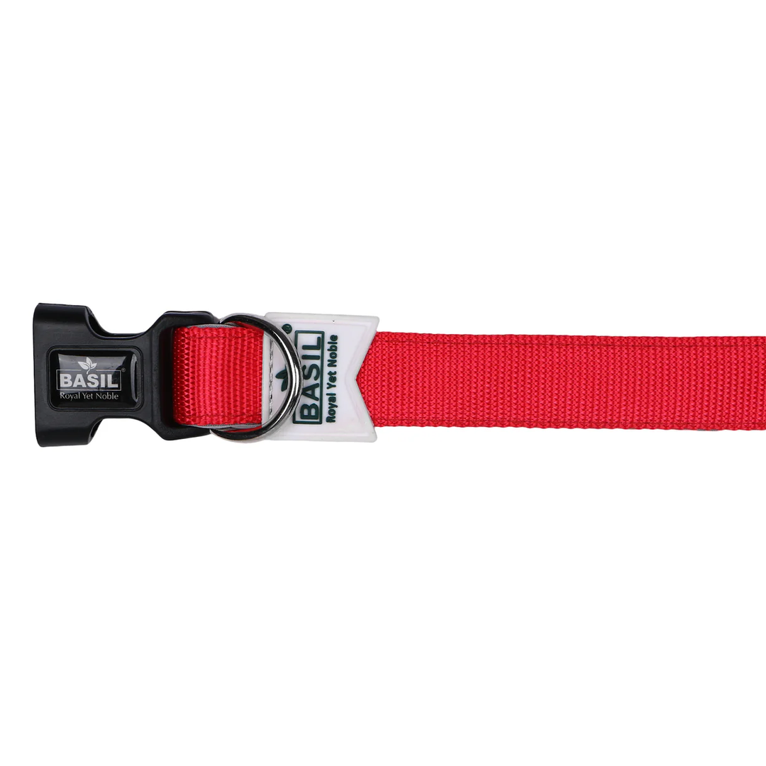 Basil Solid Color Padded Collar for Dogs - Comfortable, Durable & Stylish