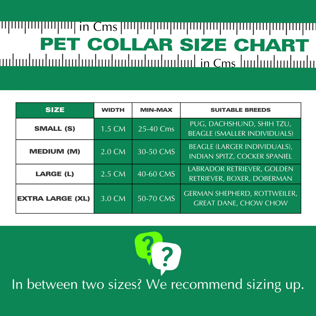 Basil Solid Color Padded Collar for Dogs - Comfortable, Durable & Stylish