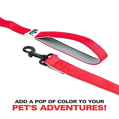 Basil Solid Color Padded Leash for Dogs – S, M, L, XL | Comfortable & Durable Pet Leash