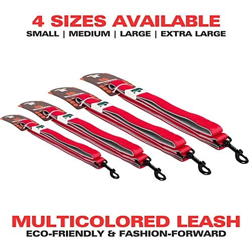 Basil Solid Color Padded Leash for Dogs – S, M, L, XL | Comfortable & Durable Pet Leash
