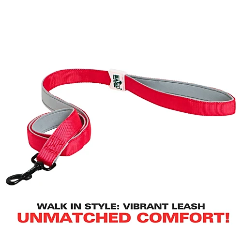 Basil Solid Color Padded Leash for Dogs – S, M, L, XL | Comfortable & Durable Pet Leash