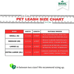 Load image into Gallery viewer, Basil Solid Color Padded Leash for Dogs – S, M, L, XL | Comfortable &amp; Durable Pet Leash