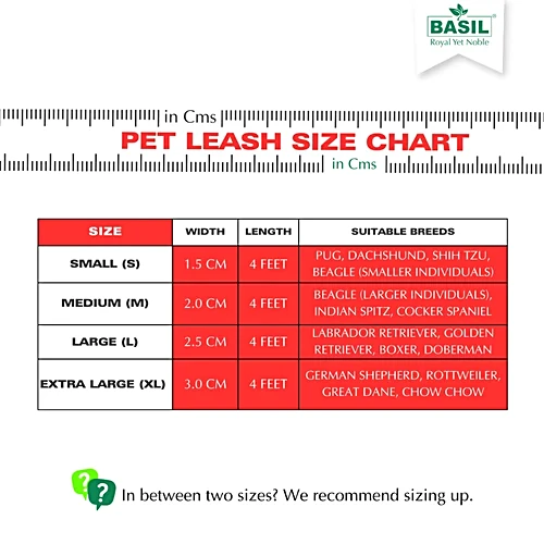Basil Solid Color Padded Leash for Dogs – S, M, L, XL | Comfortable & Durable Pet Leash