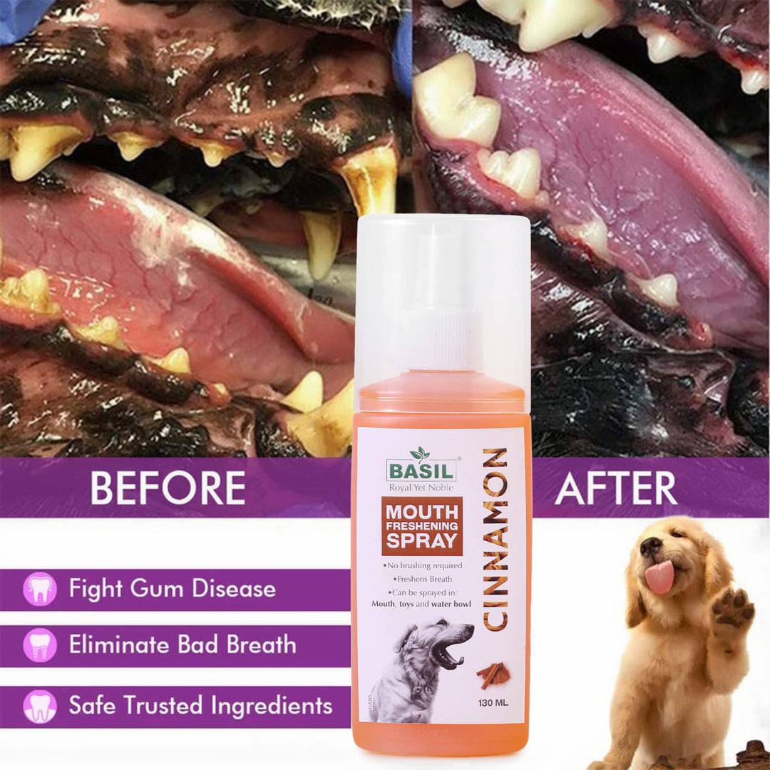Basil Mouth Freshening Spray for Dogs – Cinnamon Flavor | Natural Oral Hygiene Spray 130ml