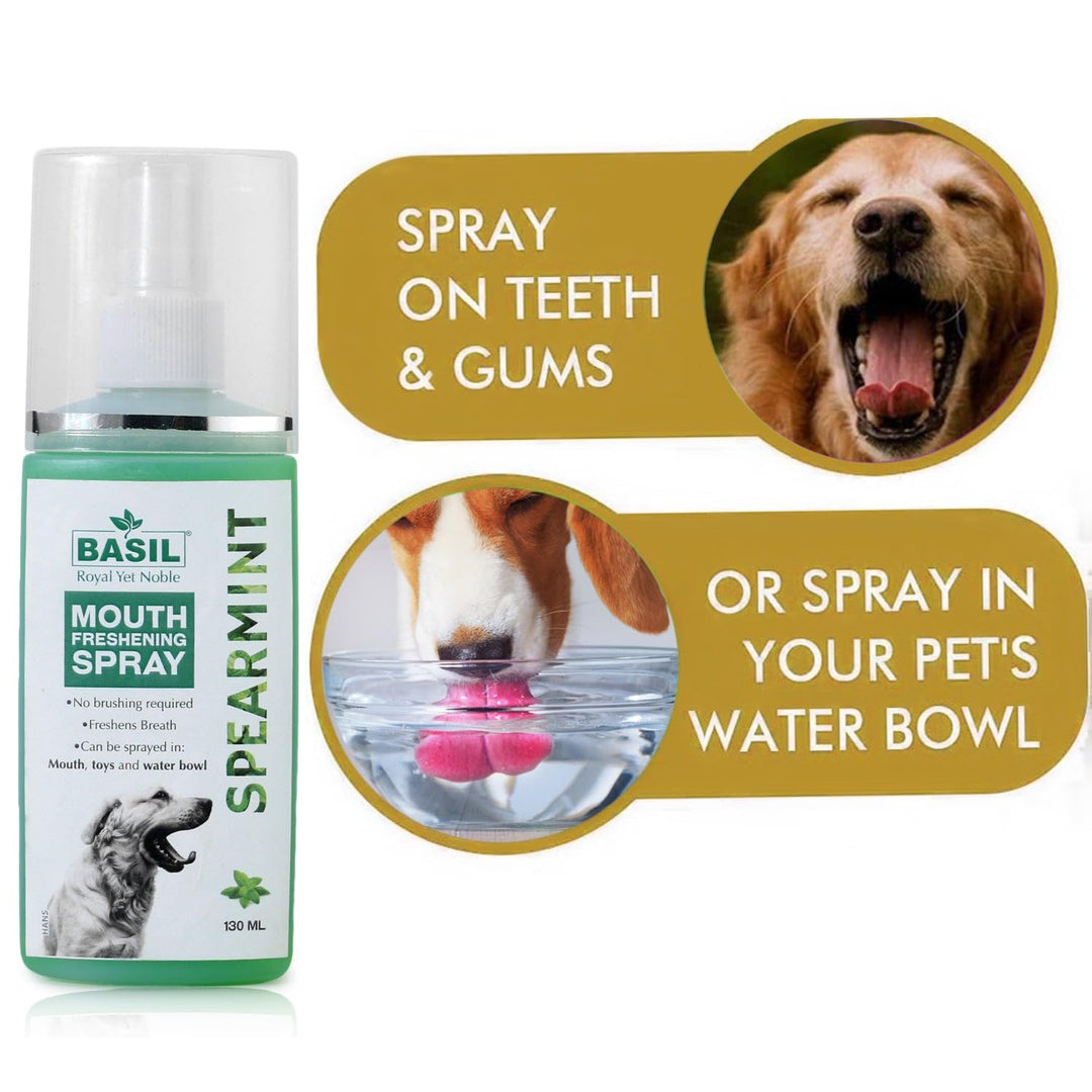 Basil Mouth Freshening Spray for Dogs – Spearmint Flavour, 130ml | Natural Oral Hygiene Spray for Fresh Breath & Dental Health