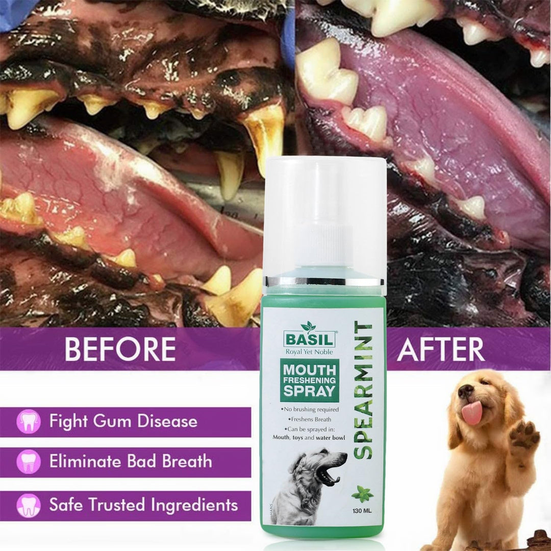 Basil Mouth Freshening Spray for Dogs – Spearmint Flavour, 130ml | Natural Oral Hygiene Spray for Fresh Breath & Dental Health