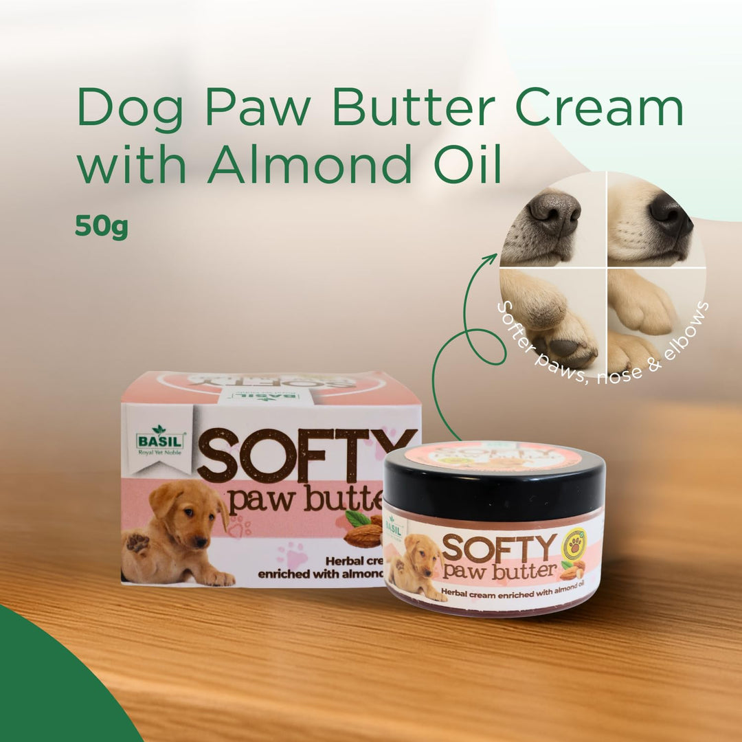 Basil Softy Paw Butter for Dogs & Cats – 50gm | Natural Paw Moisturizer & Healer | Soothes Dry, Cracked Paws