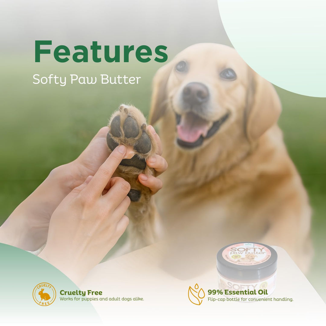 Basil Softy Paw Butter for Dogs & Cats – 50gm | Natural Paw Moisturizer & Healer | Soothes Dry, Cracked Paws