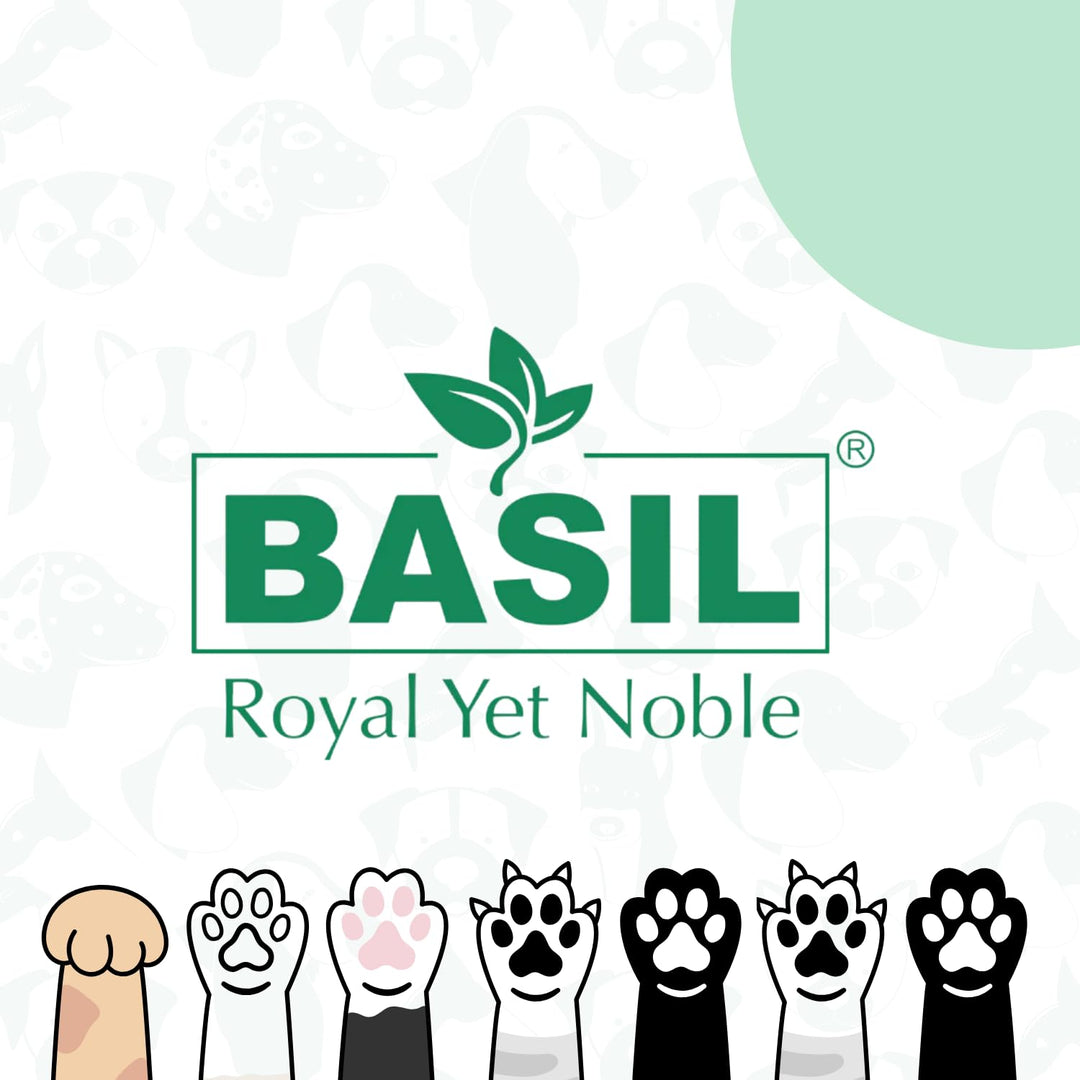 Basil Softy Paw Butter for Dogs & Cats – 50gm | Natural Paw Moisturizer & Healer | Soothes Dry, Cracked Paws
