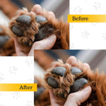 Load image into Gallery viewer, Basil Pet Wipes – Gentle Cleansing &amp; Deodorizing Wipes for Dogs &amp; Cats | Alcohol-Free, Safe for Daily Use (Pack of 80 Wipes)