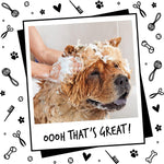 Load image into Gallery viewer, OMD Shampoo - Berry &amp; Coconut