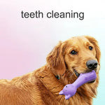 Load image into Gallery viewer, EE Toys Natural Latex Squeaky Bouncy Cat Dog Toy