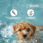Load image into Gallery viewer, OMD Shampoo - Brightening