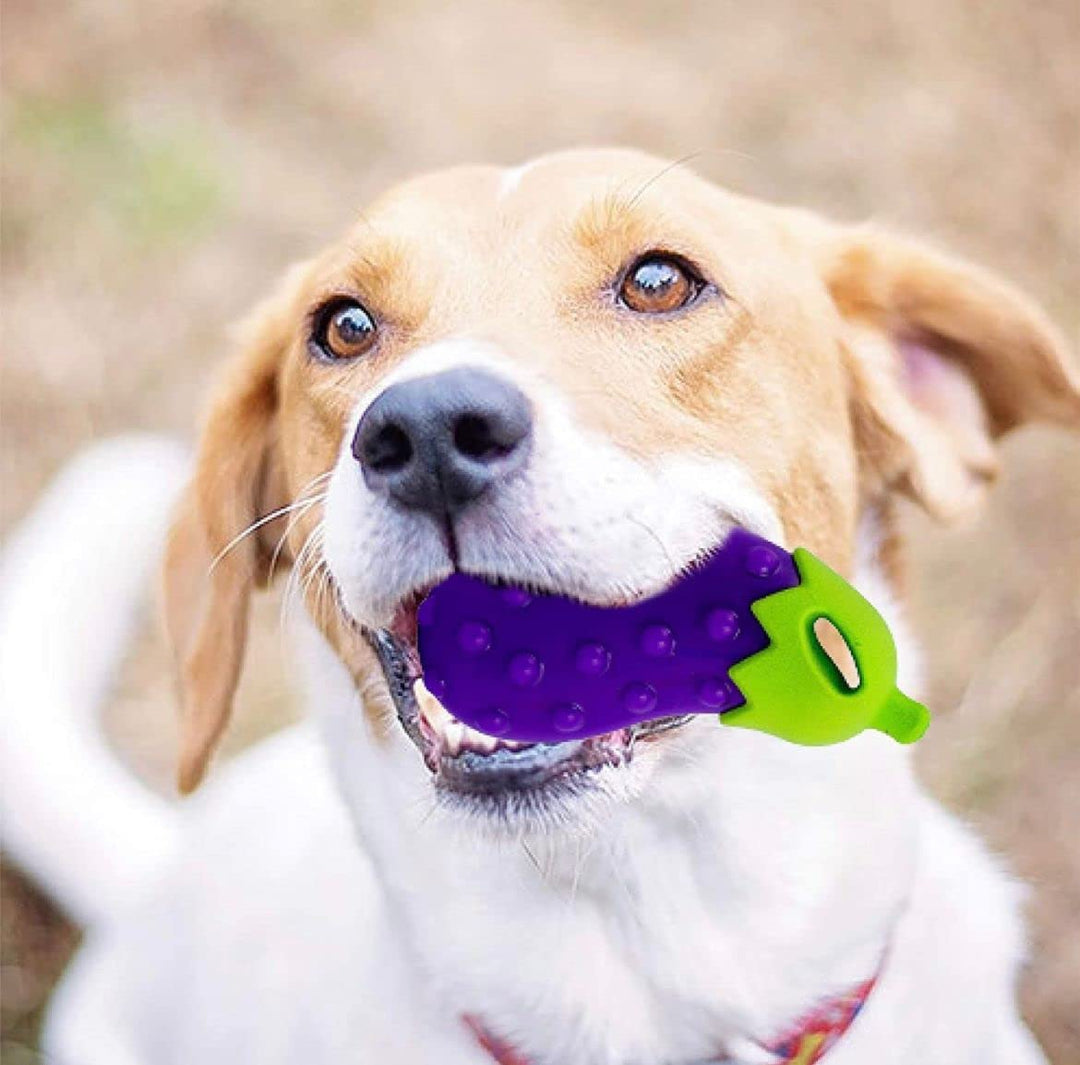 Holy Paws Veggie Bites Eggplant Squeaky Dog Toy – Durable Orbee-Tuff Rubber Chew for Small & Medium Breeds