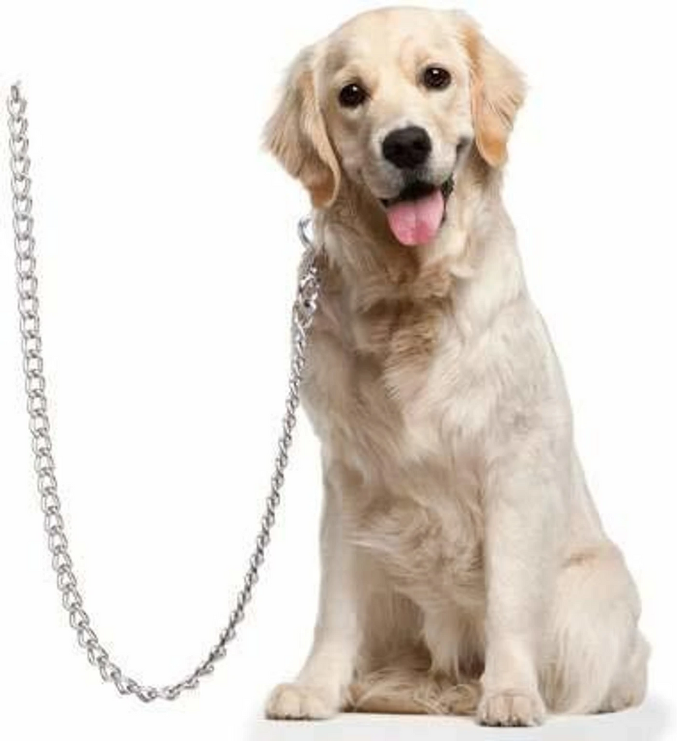 Premium Heavy-Duty Iron Dog Chain Leash with T-Bar & Swivel Snap Hook