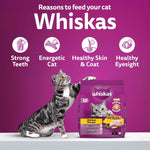 Load image into Gallery viewer, Whiskas Chicken Adult Cat Food