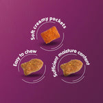 Load image into Gallery viewer, Whiskas Chicken Adult Cat Food