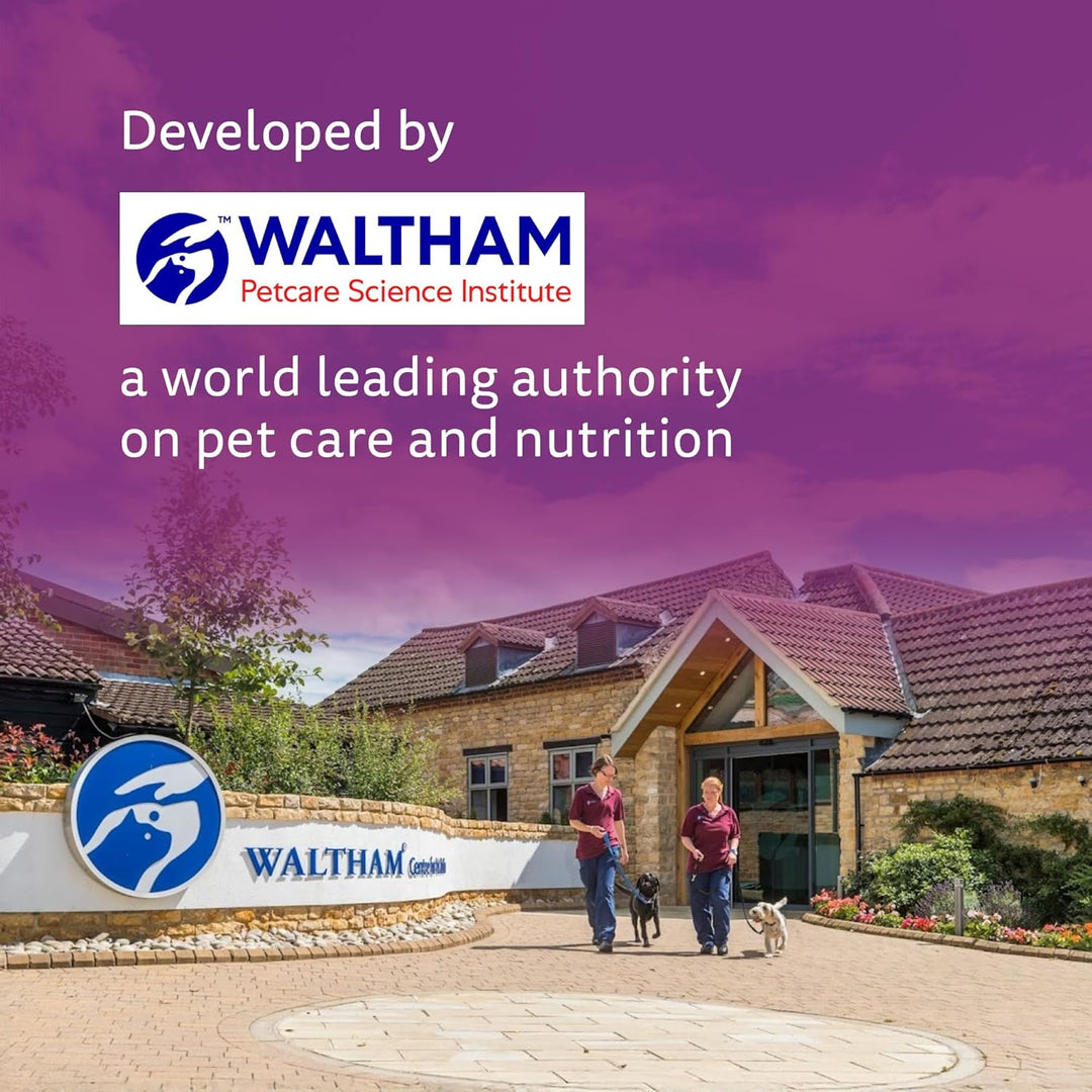 Whiskas Adult Chicken Gravy 80Gm