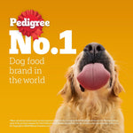 Load image into Gallery viewer, Pedigree Adult Chicken &amp; Liver Gravy 130gm
