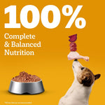 Load image into Gallery viewer, Pedigree Adult Chicken &amp; Liver Gravy 130gm