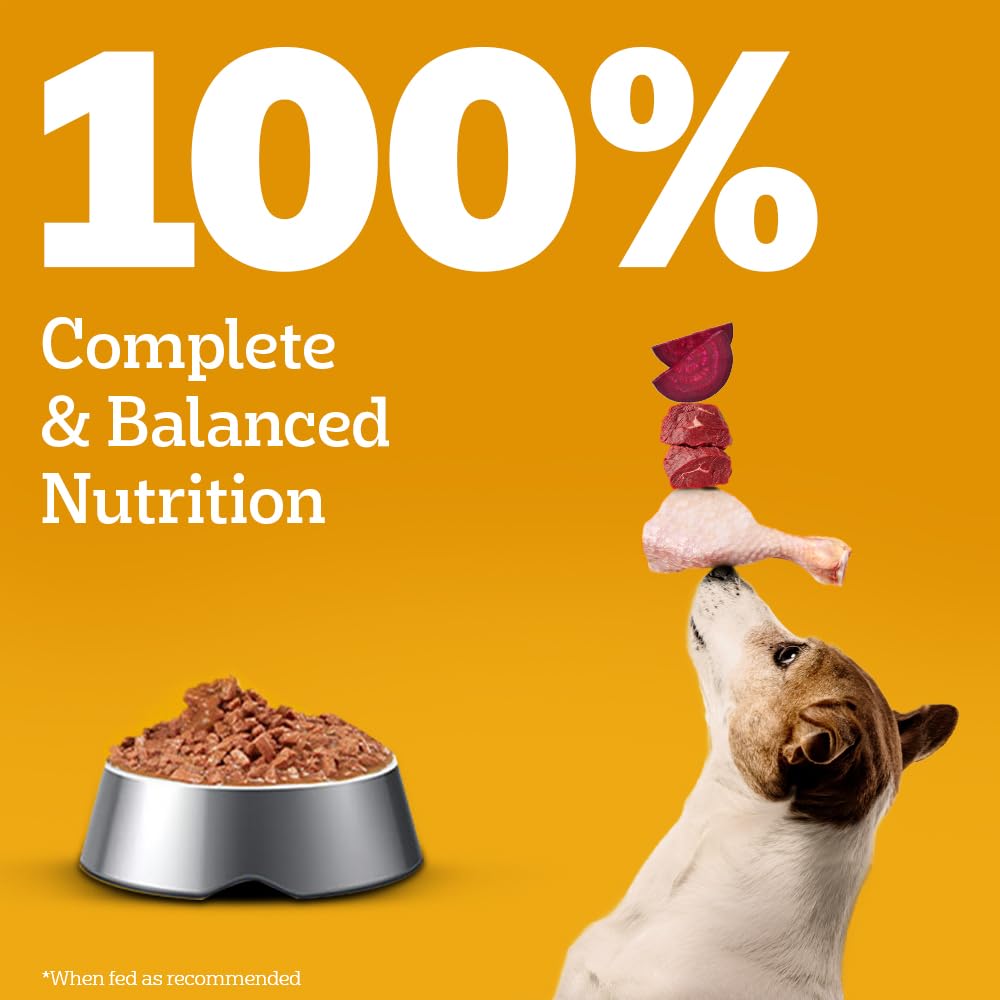 Pedigree Adult Chicken & Liver Gravy 130gm