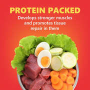 JerHigh Chicken Stix Bites for Dogs – 100gm | Soft & Tasty Real Chicken Dog Treats