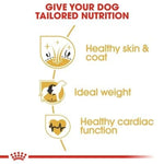 Load image into Gallery viewer, Royal Canin Cocker Spaniel