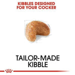 Load image into Gallery viewer, Royal Canin Cocker Spaniel