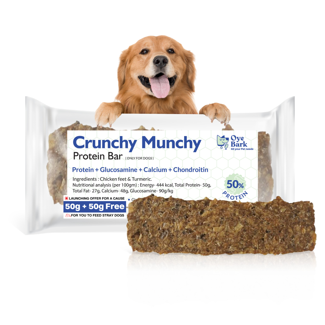 Oye Bark WagBites Dog Gift Combo Pack (3-in-1)
