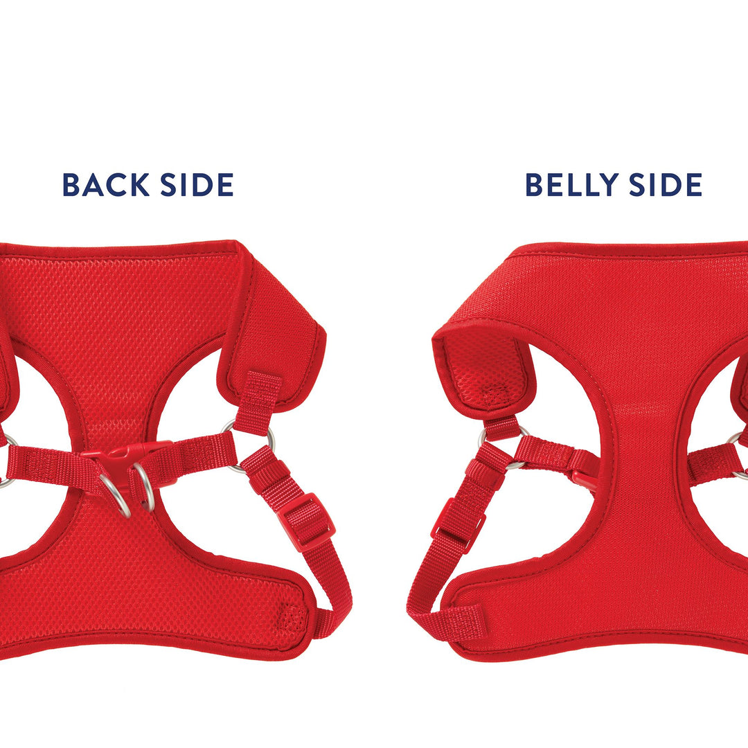 Breathable Soft Mesh Dog Harness and Leash Set