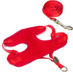 Load image into Gallery viewer, Breathable Soft Mesh Dog Harness and Leash Set