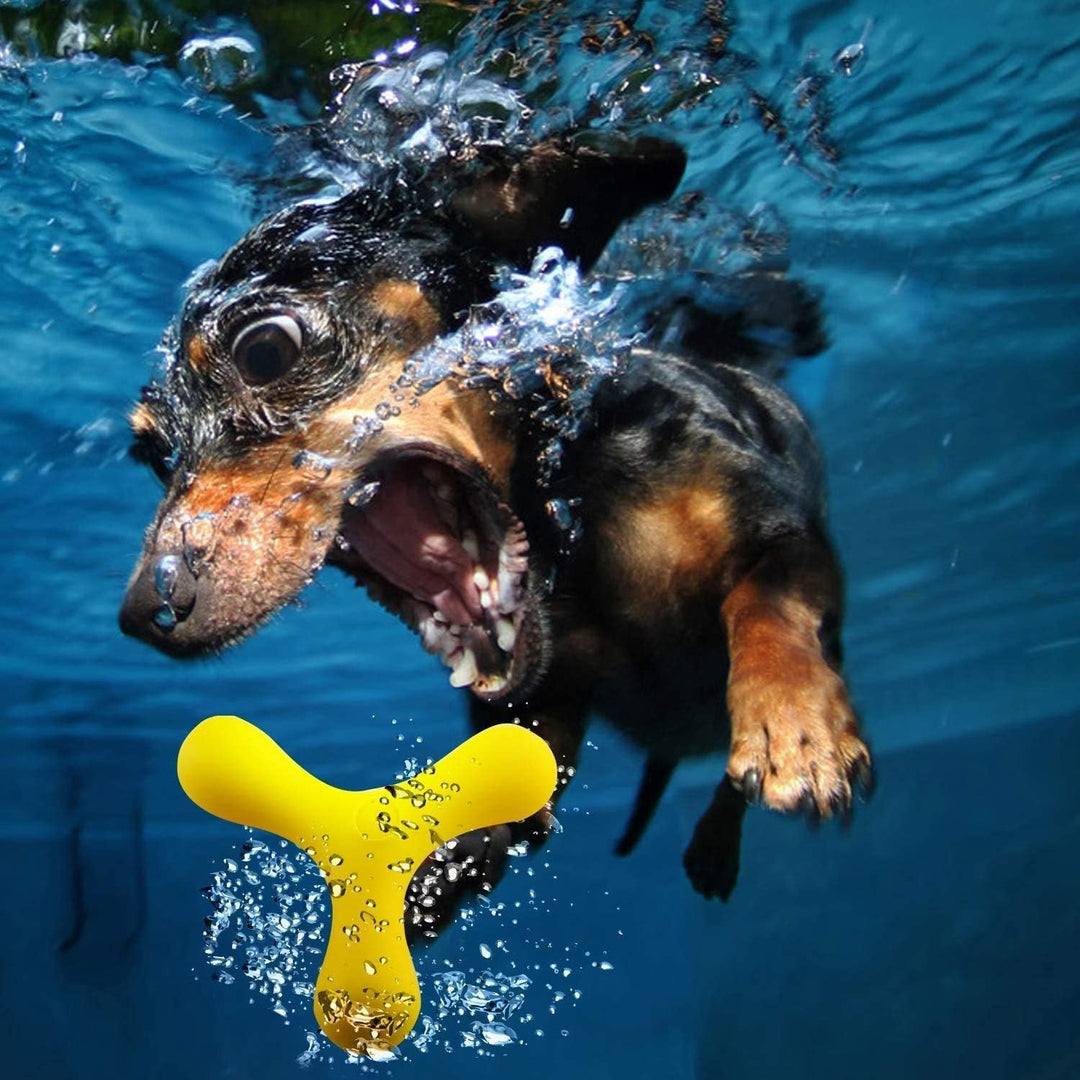 EE Toys Squeaky Triangle Dart Dog Toy | Interactive Boomerang Fetch Chew Toy