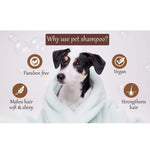 Load image into Gallery viewer, OMD Shampoo - Cat &amp; Puppy Mild