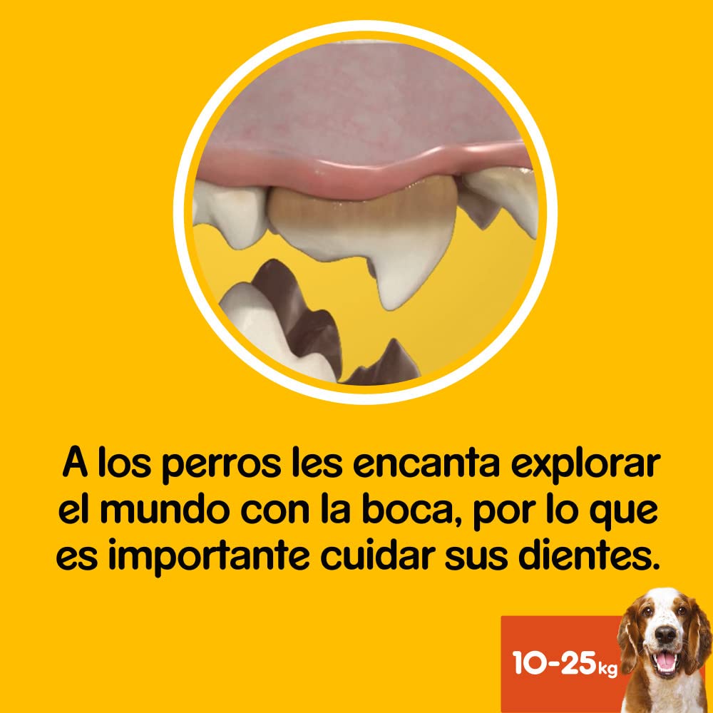 Pedigree Dentastix Medium 180Gm