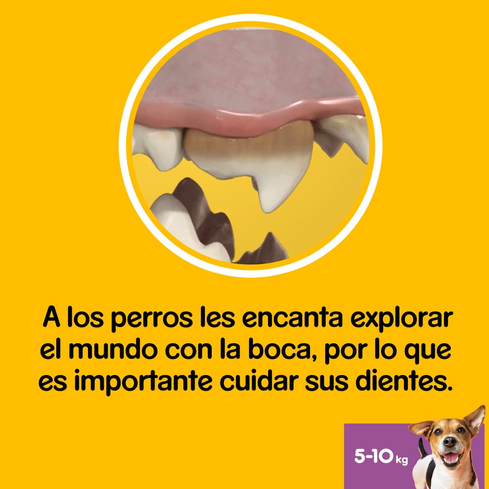 Pedigree Dentastix Small 110Gm