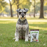 Load image into Gallery viewer, JerHigh Duck Dog Treats – 70gm | Real Chicken &amp; Duck Meat | Healthy &amp; Tasty Reward Snack for Dogs