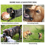 Load image into Gallery viewer, Cute Silicone Duck Bill Dog Muzzle