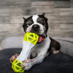 Load image into Gallery viewer, Holy Paws: Fun 'n' Play Geometric Dumbbell Dog Toy