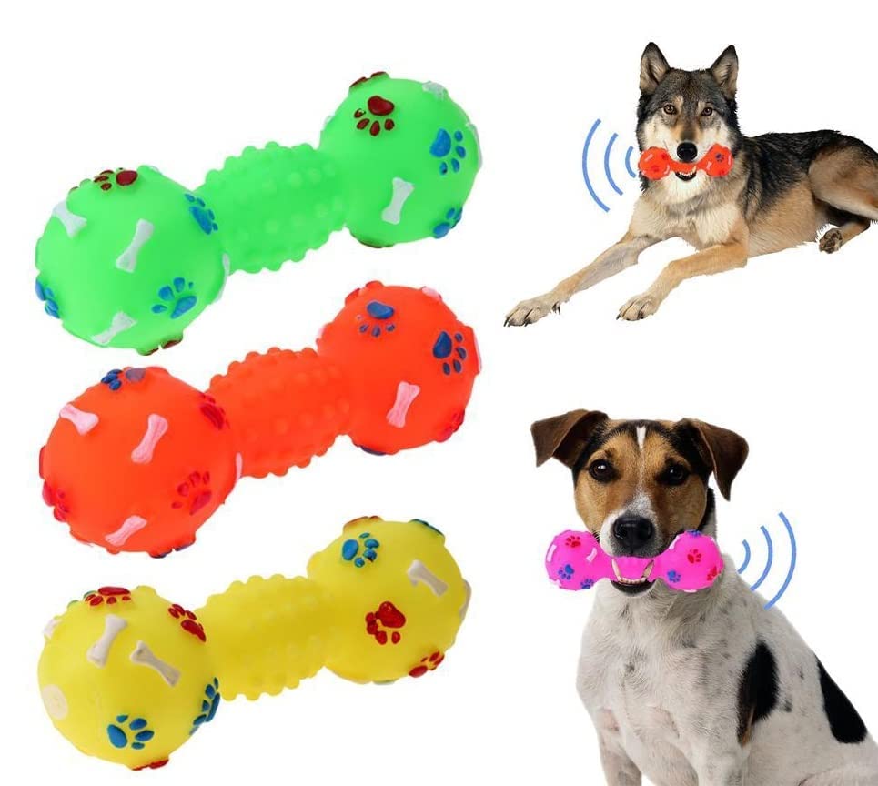 Sq. VT. 1023 Dumbell with Paw Mark Small