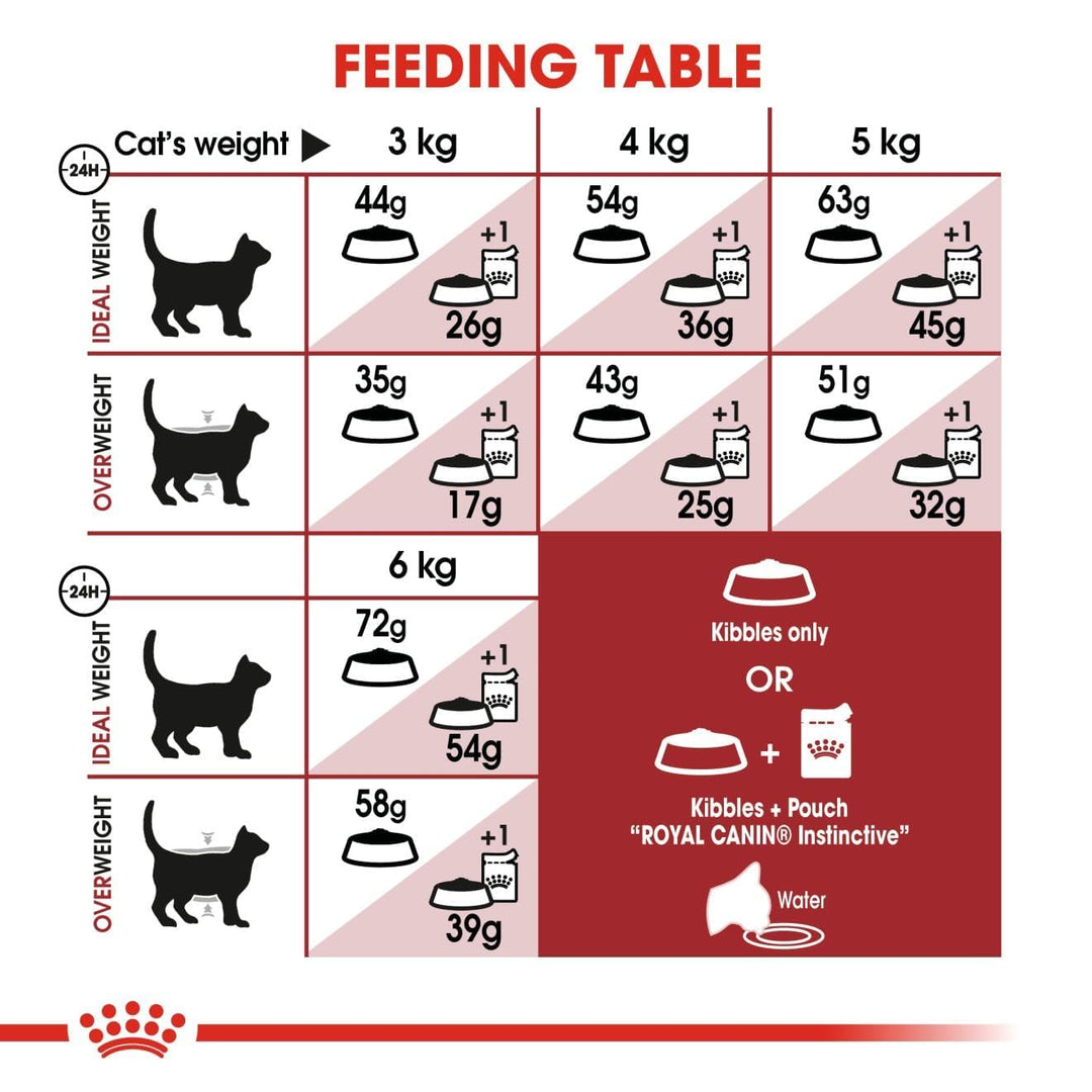 Royal Canin Regular Fit 32