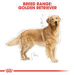 Load image into Gallery viewer, Royal Canin Golden Retriever Adult